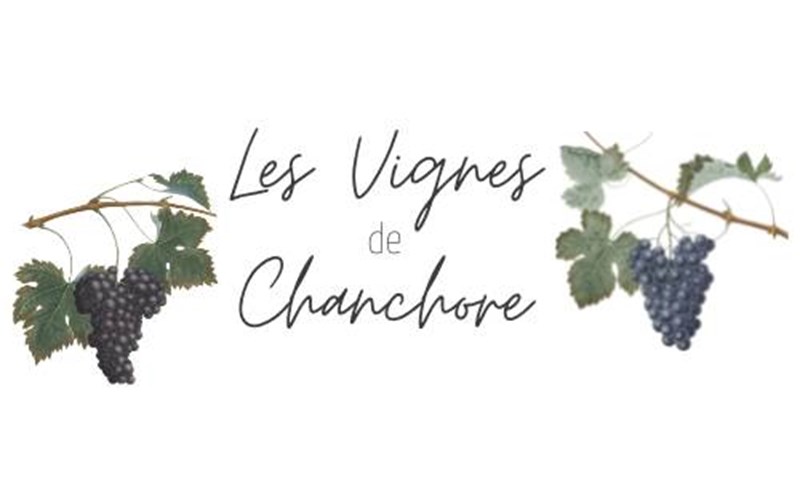 Location Les Vignes de Chanchore N°7 à ST SAUVEUR